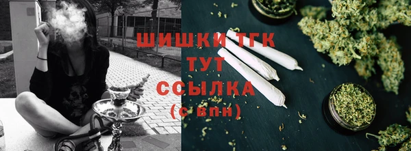 ECSTASY Заводоуковск
