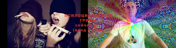 ECSTASY Заводоуковск